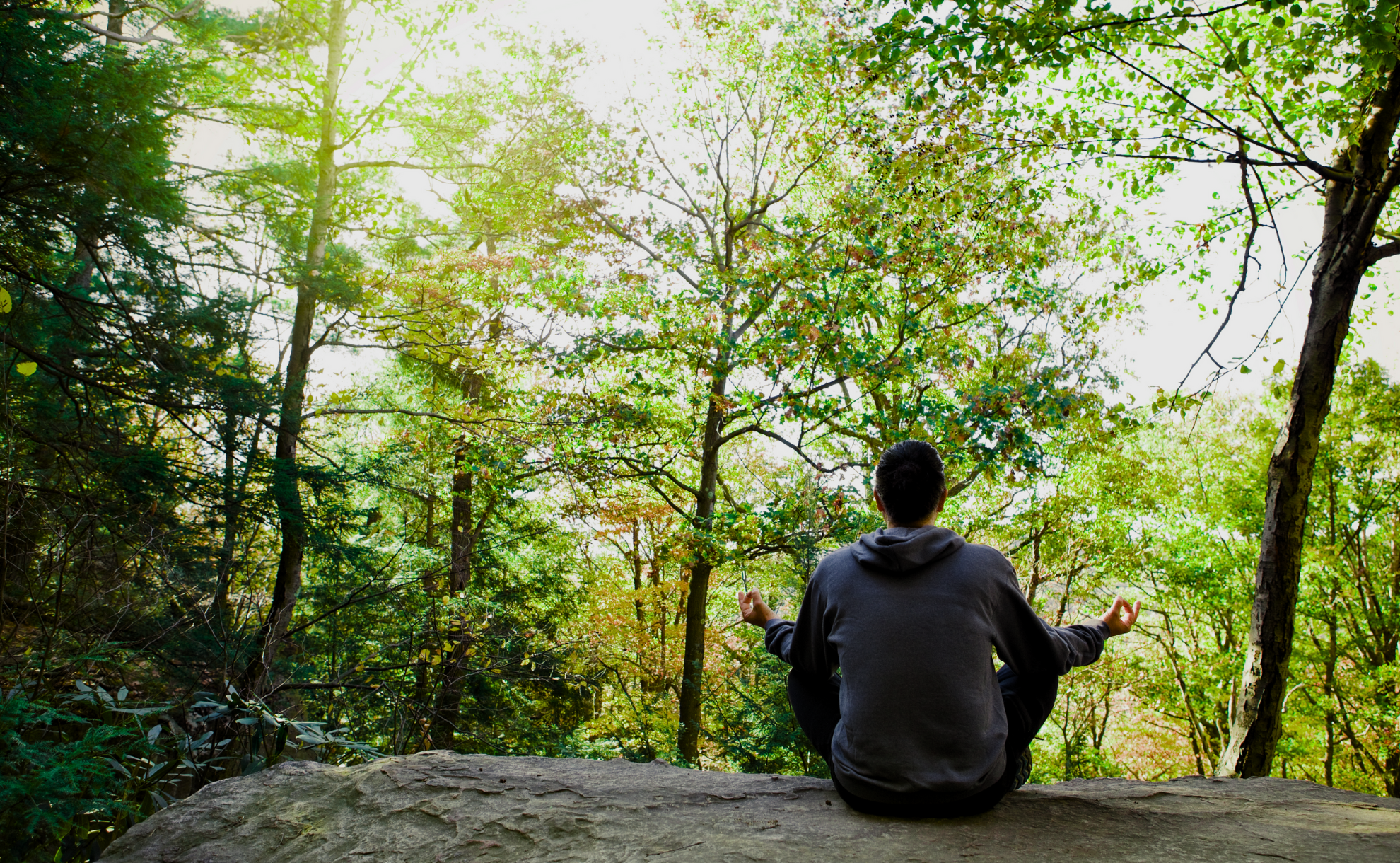 forest bathing ragazzo meditazione