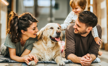 vmc e animali domestici famiglia con cane