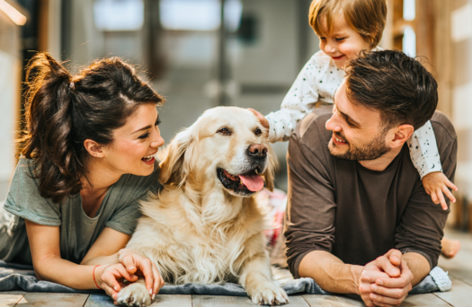 vmc e animali domestici famiglia con cane