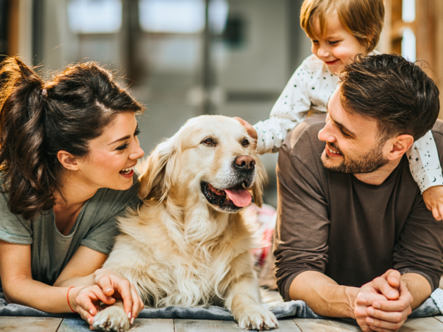 vmc e animali domestici famiglia con cane