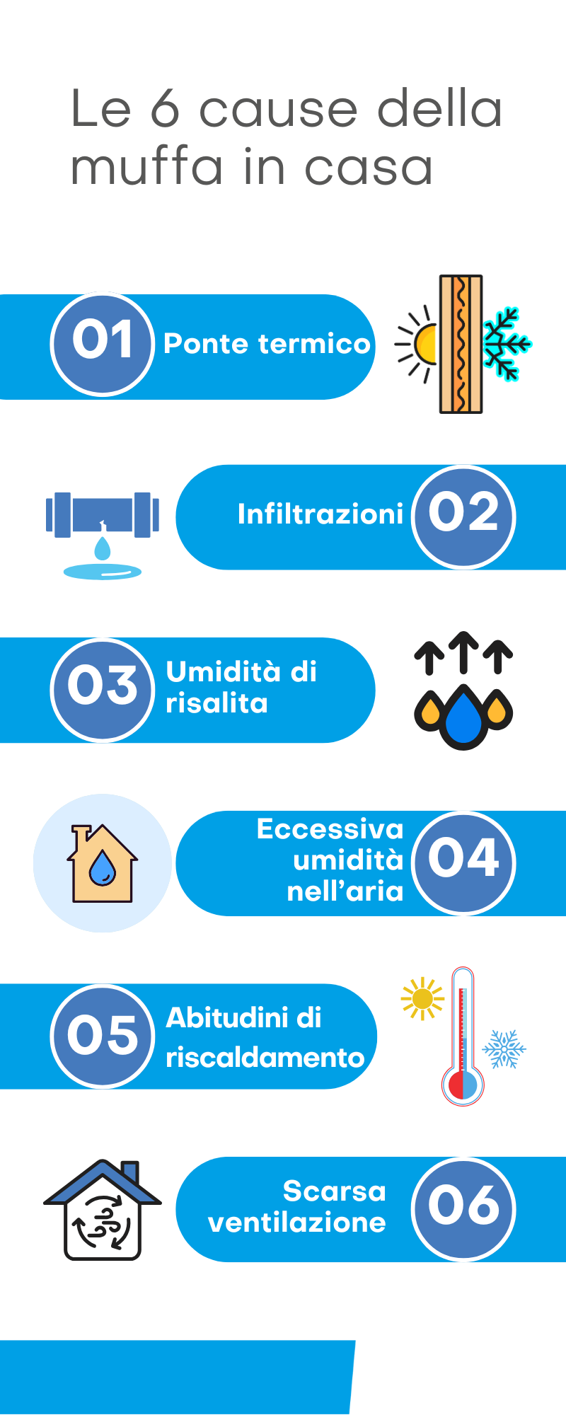 infografica 6 cause della muffa in casa